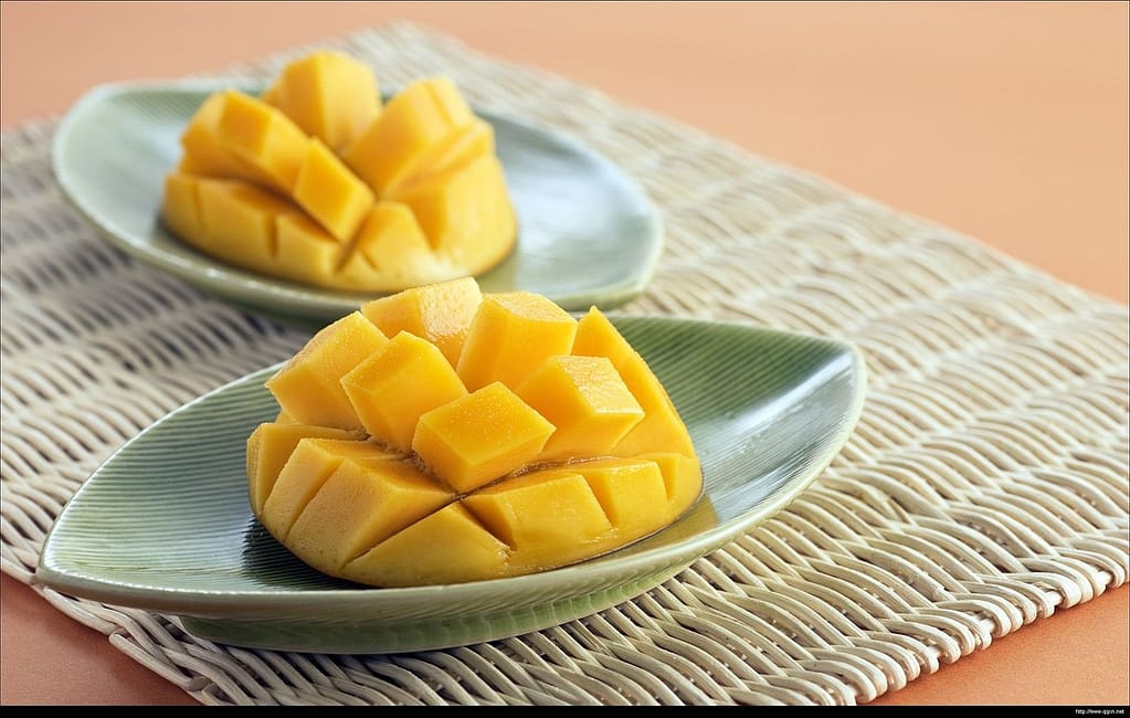 types of mangoes with pictures