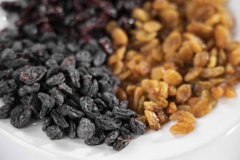 Black raisin
