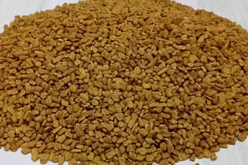 Fenugreek Seeds For Hair