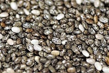 sabja seed