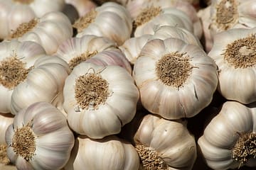garlic juice