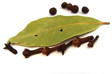 bay leaf benefits