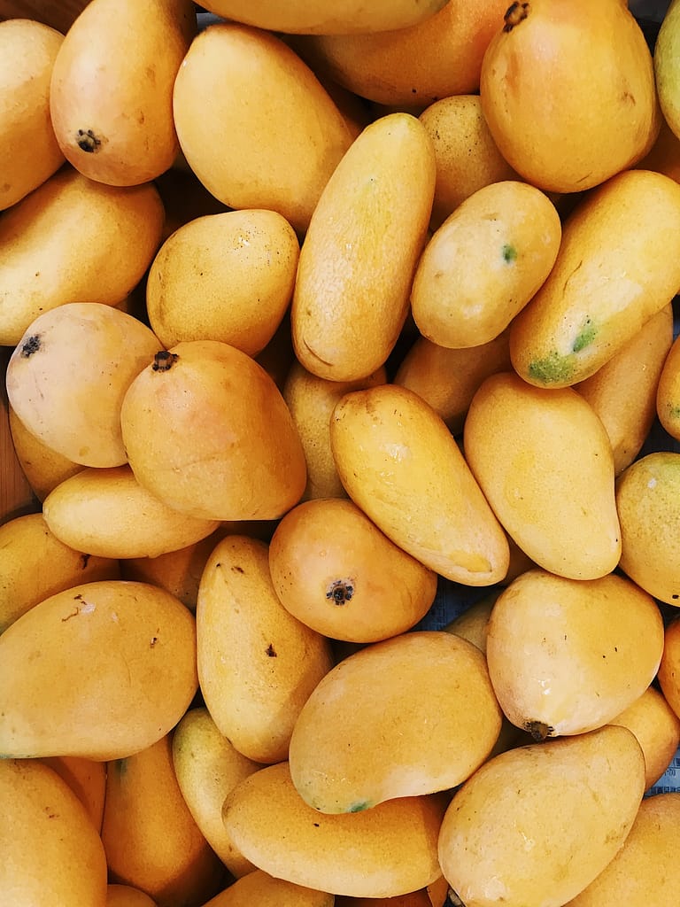 fresh mangoes
