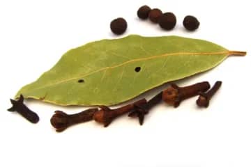 bay leaf benefits